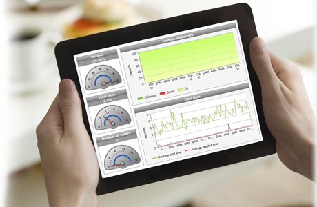 Website Health Monitoring